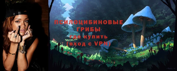 прущая мука Абаза