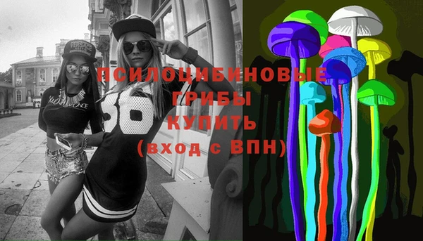 прущая мука Абаза