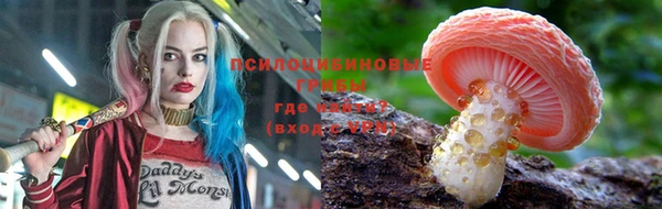 прущая мука Абаза