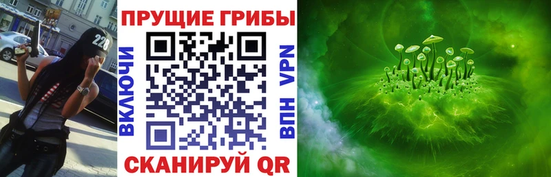 Галлюциногенные грибы ЛСД  mega ONION  Щёкино 